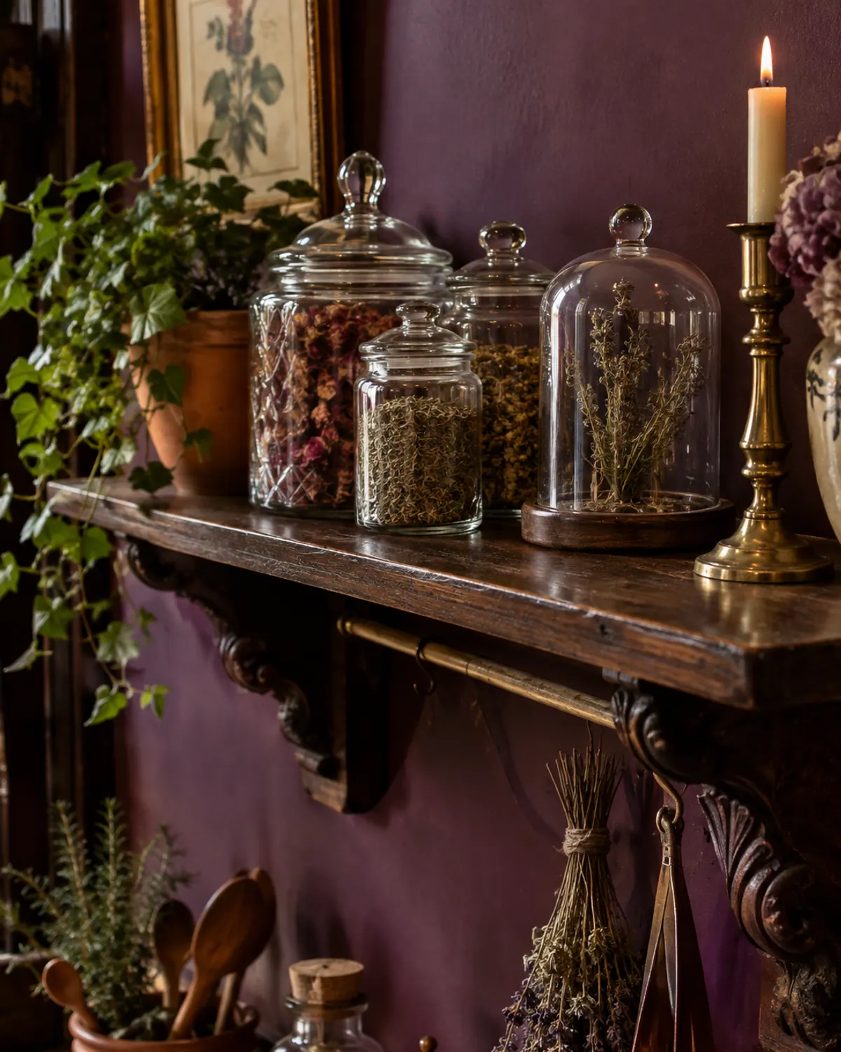 Victorian apothecary aesthetic shelf of dark carved wood on a plum wall with glass cloches and canisters of dried herbs and roses, a brass candlestick and trailing ivy