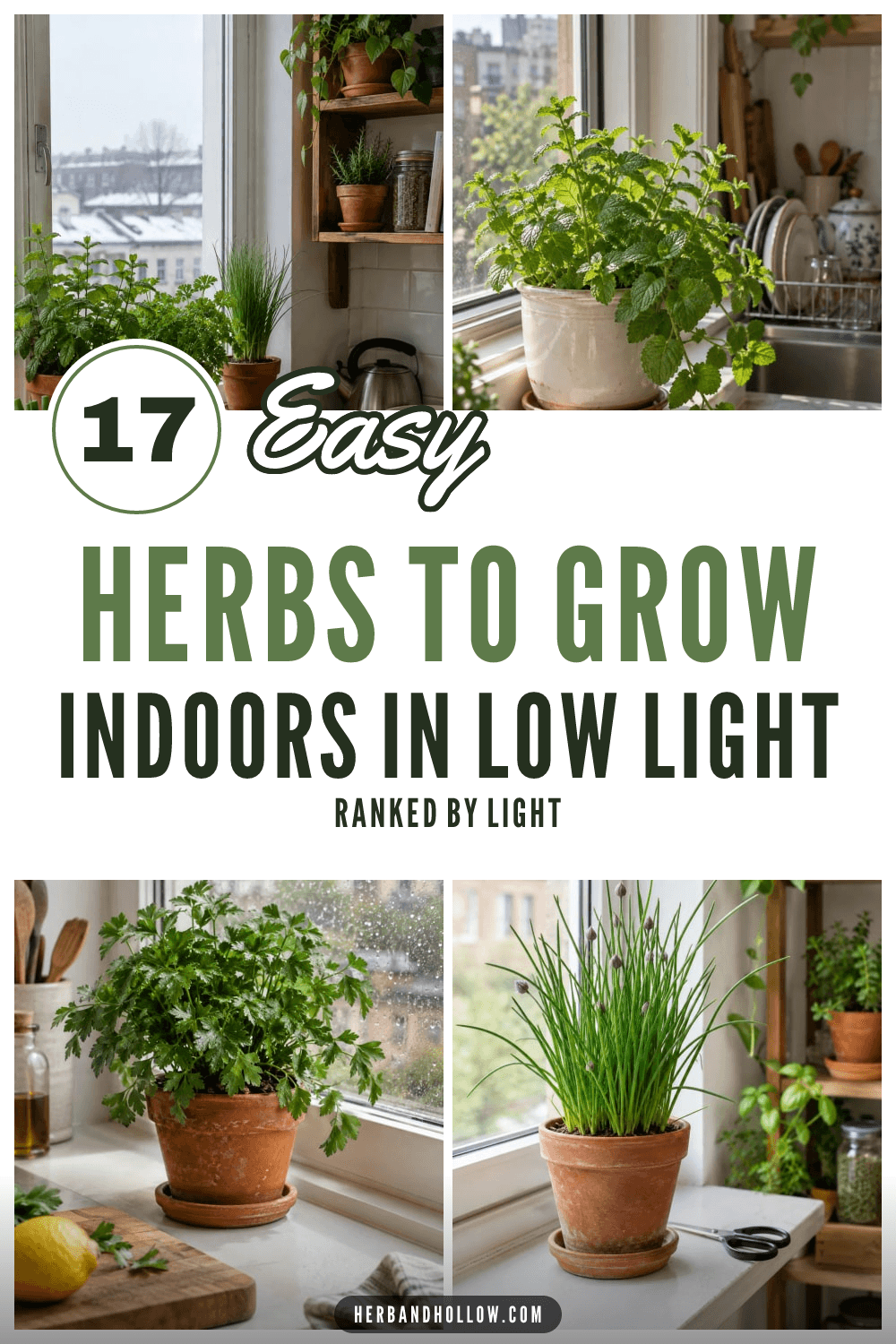 Pinterest pin with photos of potted mint, parsley and chives on a dim kitchen windowsill, with the text 17 Easy Herbs to Grow Indoors in Low Light.