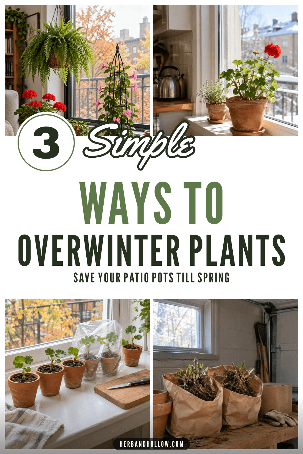 Pinterest pin with four photos: overwintering plants by an apartment window, a potted geranium on a sill, geranium cuttings in small pots and bare-root geraniums in paper bags, with the text 3 Simple Ways to Overwinter Plants.