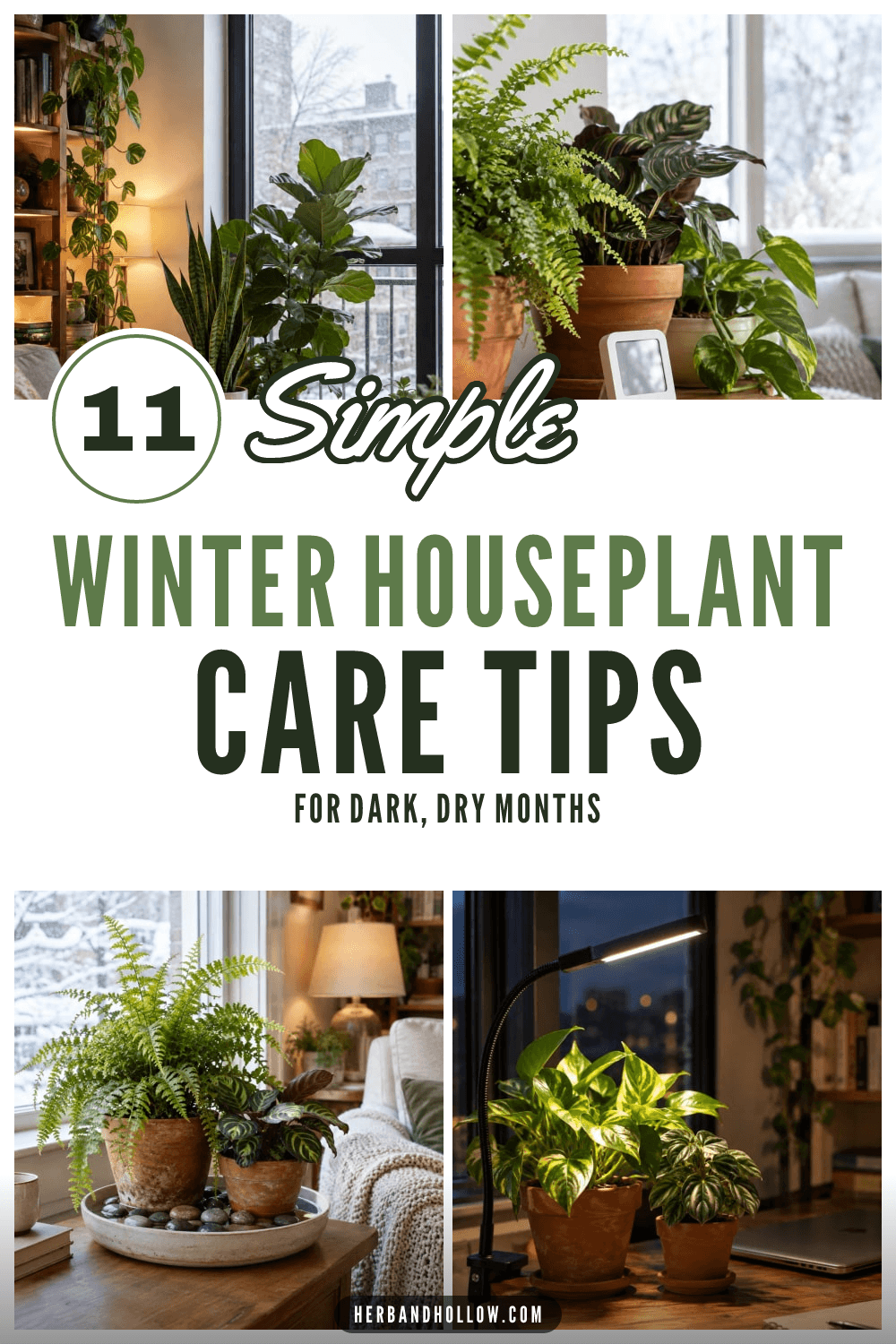 Pinterest pin with photos of houseplants by a snowy window, a hygrometer, a pebble tray and a clip-on grow light, with the text 11 Simple Winter Houseplant Care Tips.